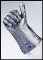 Gloves, Silver Shield/4HNorth Safety Products
